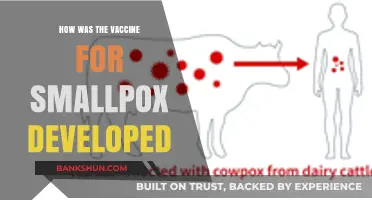 The Revolutionary Journey of Developing the Smallpox Vaccine