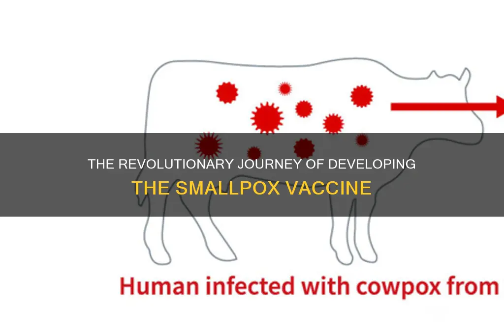how was the vaccine for smallpox developed