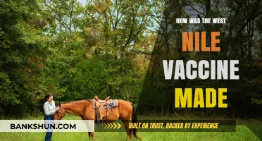 Unveiling the Science Behind the West Nile Vaccine Development
