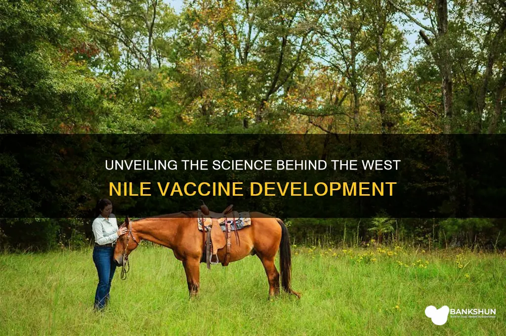 how was the west nile vaccine made