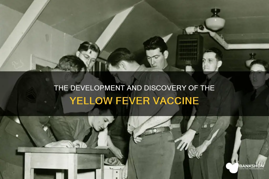 how was the yellow fever vaccine created