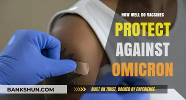 Vaccine Efficacy Against Omicron: Protection Levels and Breakthrough Risks