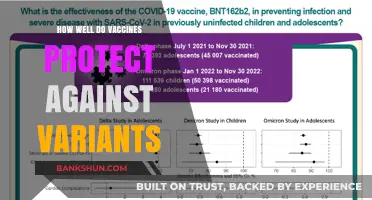Vaccine Efficacy Against COVID-19 Variants: What You Need to Know