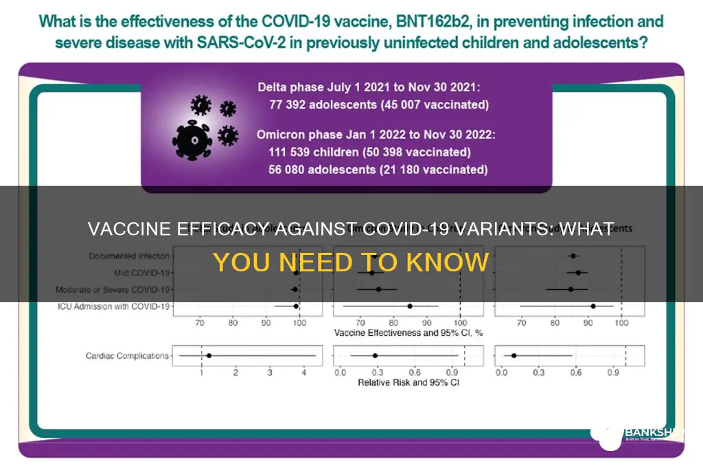how well do vaccines protect against variants