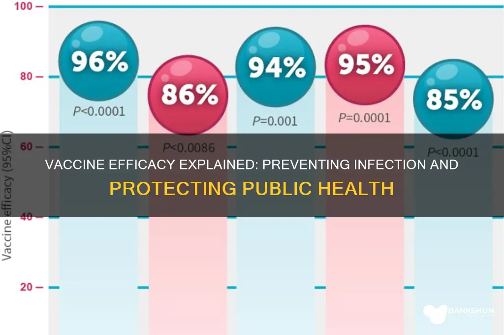 how well does the vaccine prevent infection