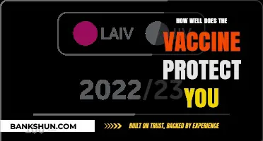 Vaccine Protection: How Effective Are They in Safeguarding Your Health?