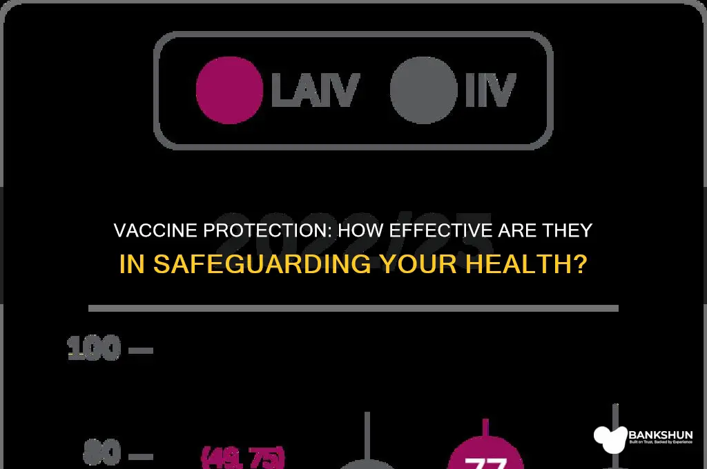 how well does the vaccine protect you