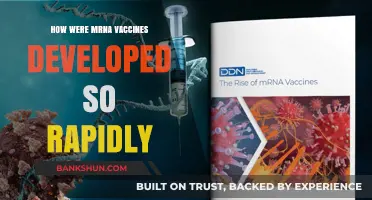 Rapid mRNA Vaccine Development: Unraveling the Science Behind the Speed