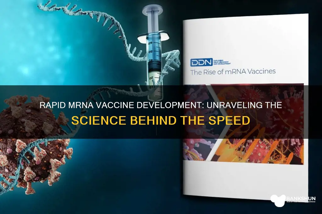 how were mrna vaccines developed so rapidly