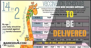 Unveiling the Original Plan: How Vaccines Were Meant to Be Delivered