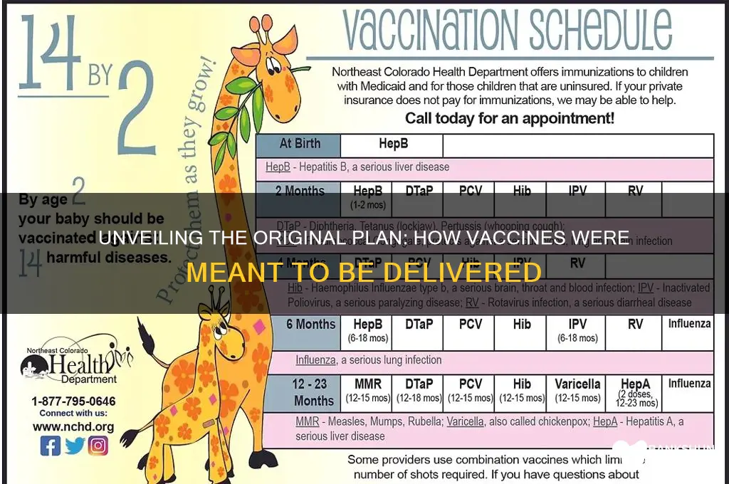 how were vaccines supposed to be delivered