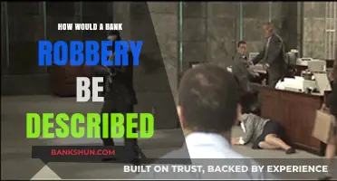Unveiling the Chaos: A Detailed Description of a Bank Robbery