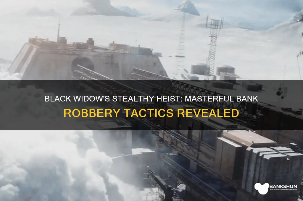 how would black widow rob a bank