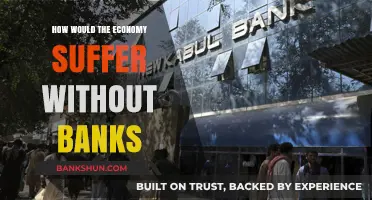 The Economic Collapse: How Societies Crumble Without Banking Systems