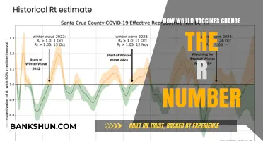 Vaccines' Impact: How Immunization Alters the R Number and Curbs Spread