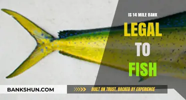 Is Fishing at 14 Mile Bank Legal? Regulations Explained