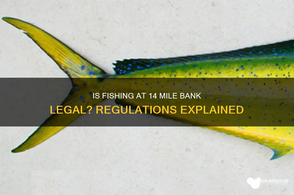is 14 mile bank legal to fish