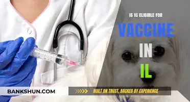 Illinois Vaccine Eligibility: Can 1C Residents Get Vaccinated Now?