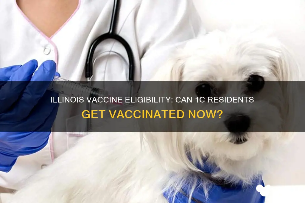 is 1c eligible for vaccine in il
