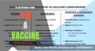 Is 66% Vaccine Efficacy Effective Enough for Public Health?