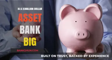 Is a $23 Billion Asset Bank Considered Large in Today's Market?