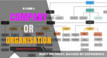 Understanding Banks: Are They Companies, Organizations, or Both?