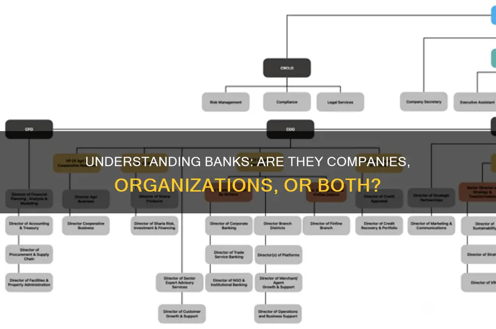 is a bank a company or organisation
