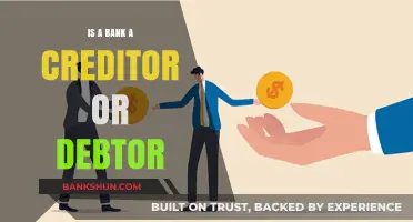 Understanding Banks: Are They Creditors, Debtors, or Both?