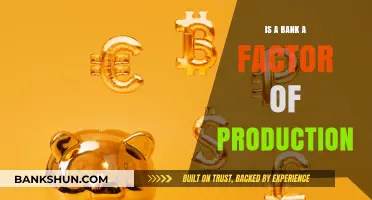Are Banks Factors of Production? Exploring Their Economic Role