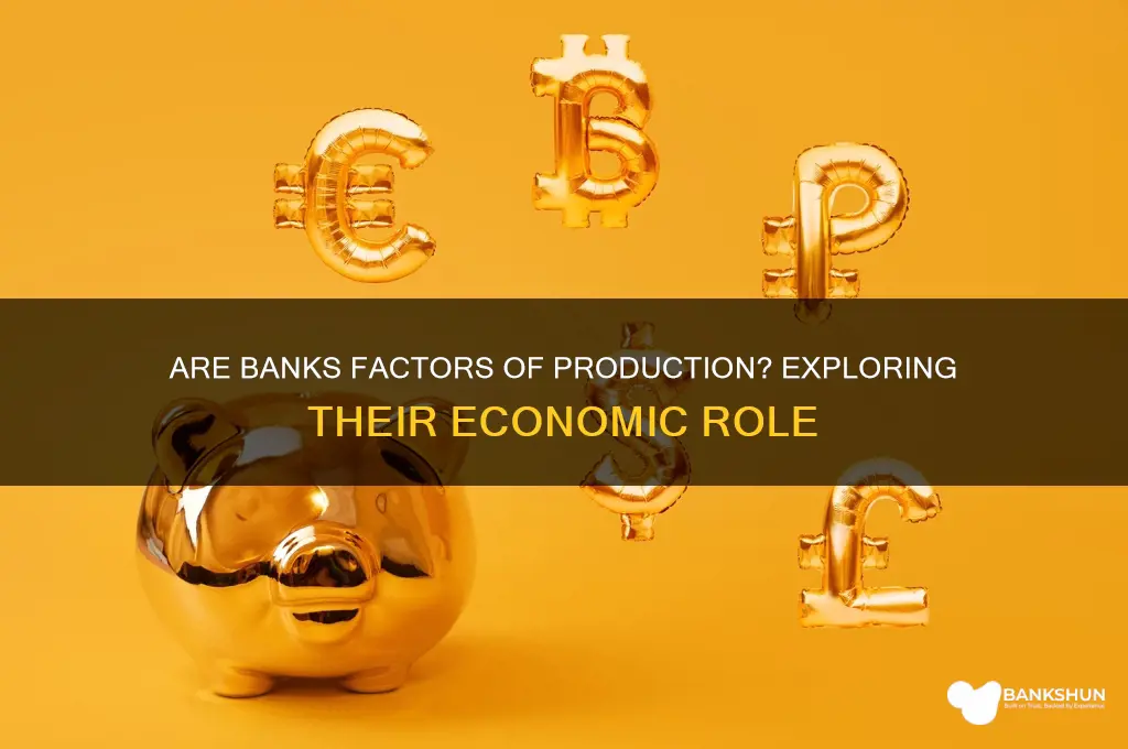 is a bank a factor of production