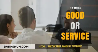 Is a Bank a Good or Service? Exploring the Financial Sector