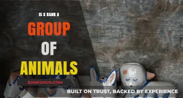 Are Banks Animal Groups? Unraveling the Confusion Behind the Term