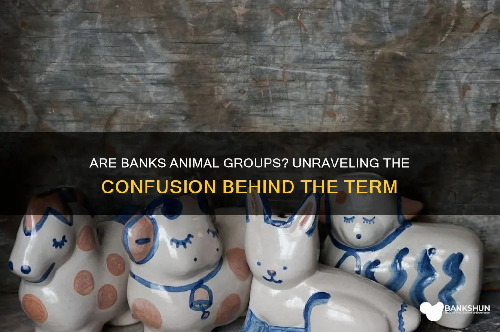 is a bank a group of animals