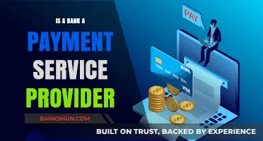 Are Banks Payment Service Providers? Exploring Roles and Responsibilities