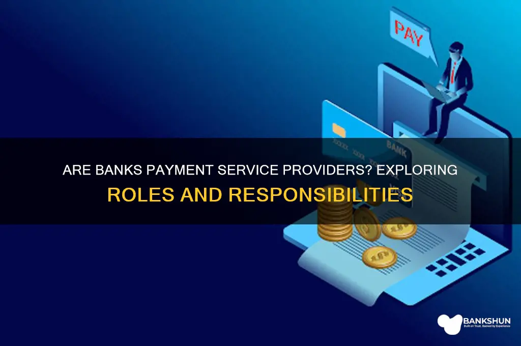 is a bank a payment service provider