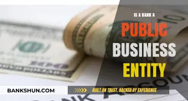 Are Banks Public Business Entities? Exploring Ownership and Operations
