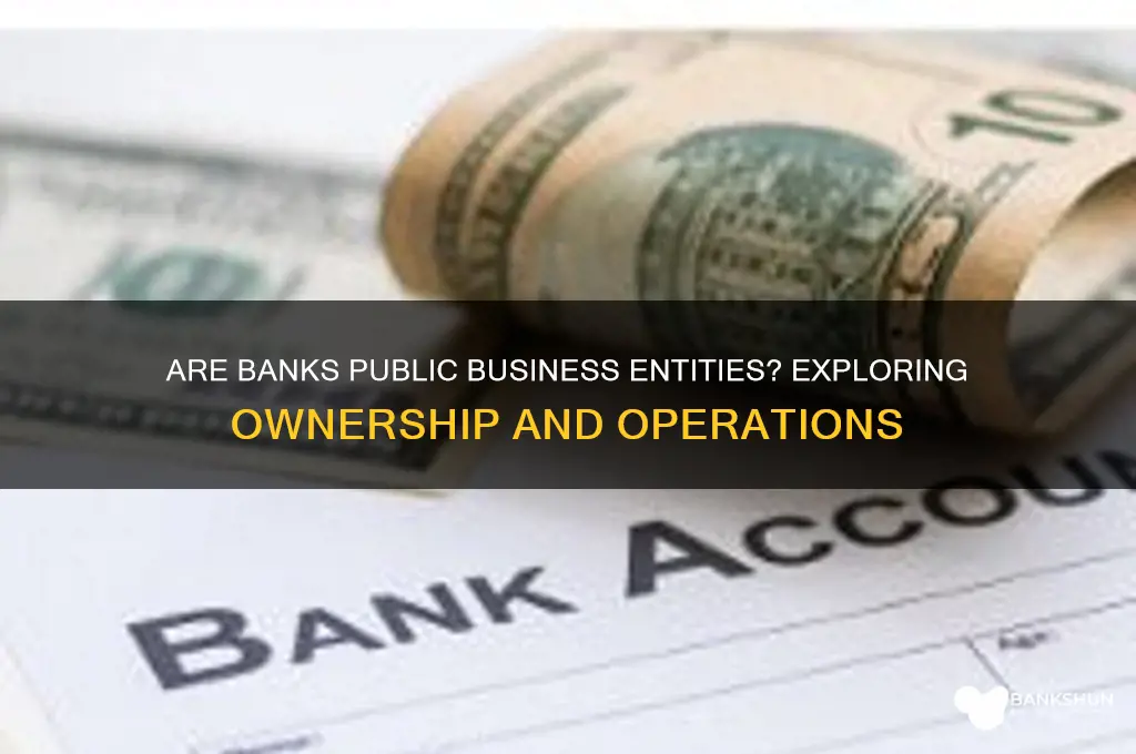 is a bank a public business entity