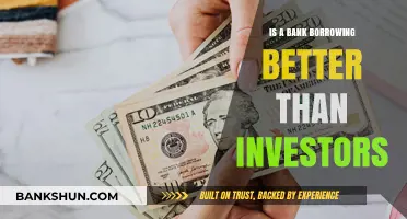 Bank Borrowing vs. Investors: Which Funding Option Suits Your Business Best?