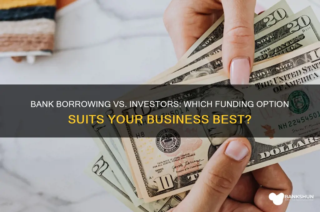 is a bank borrowing better than investors