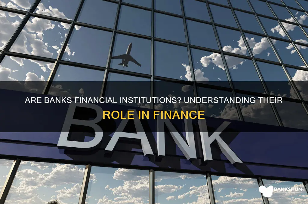 is a bank considered a financial institution
