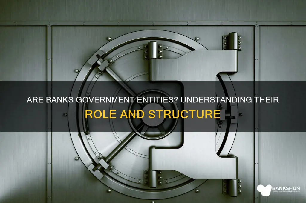 is a bank considered a government organization