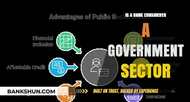 Are Banks Government Sector? Understanding Their Role and Classification