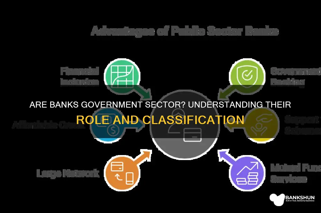is a bank considered a government sector