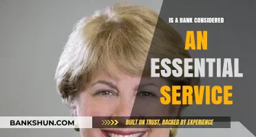 Are Banks Essential Services? Exploring Their Role in Modern Society