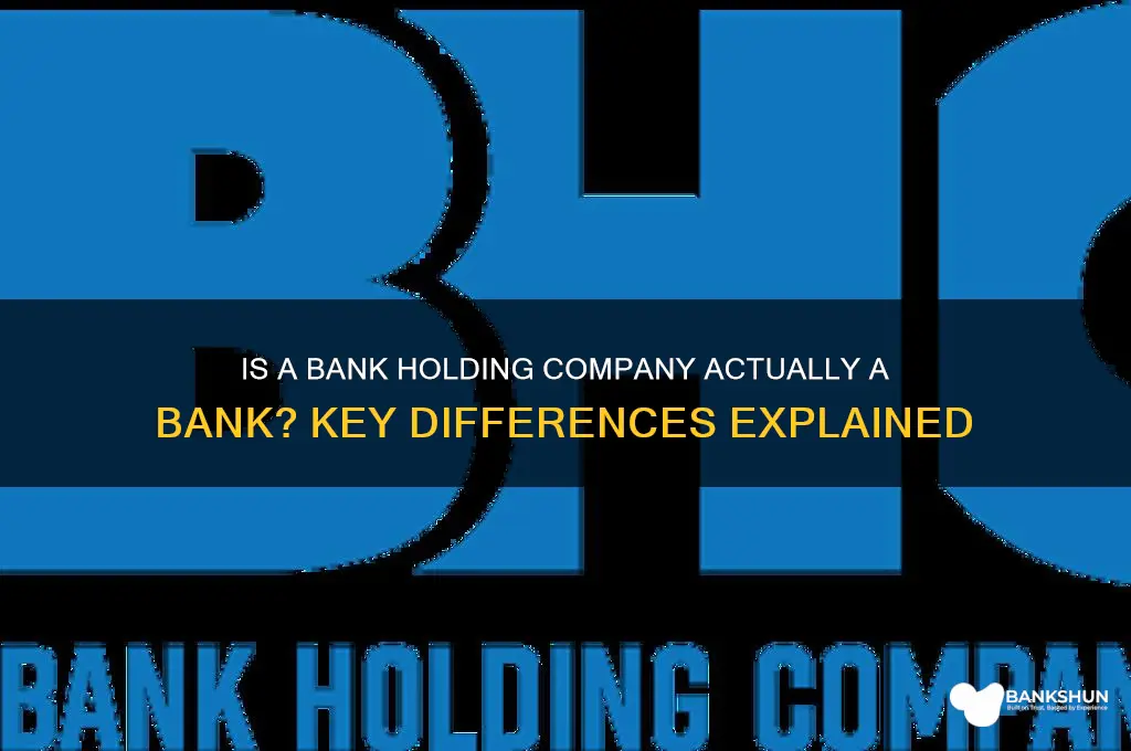 is a bank holding company a bank