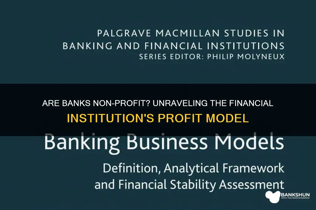 is a bank not for profit organization