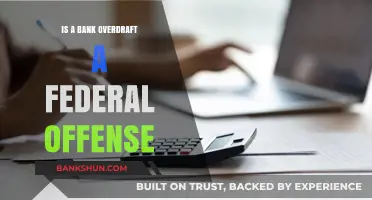 Is a Bank Overdraft a Federal Offense? Legal Insights Explained