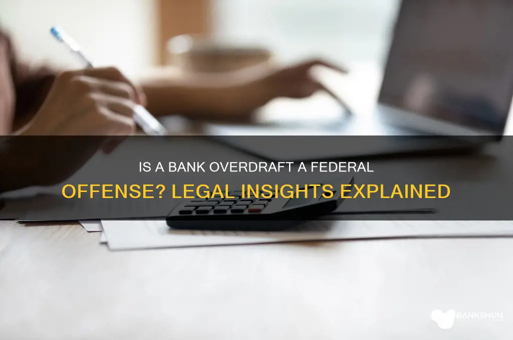is a bank overdraft a federal offense