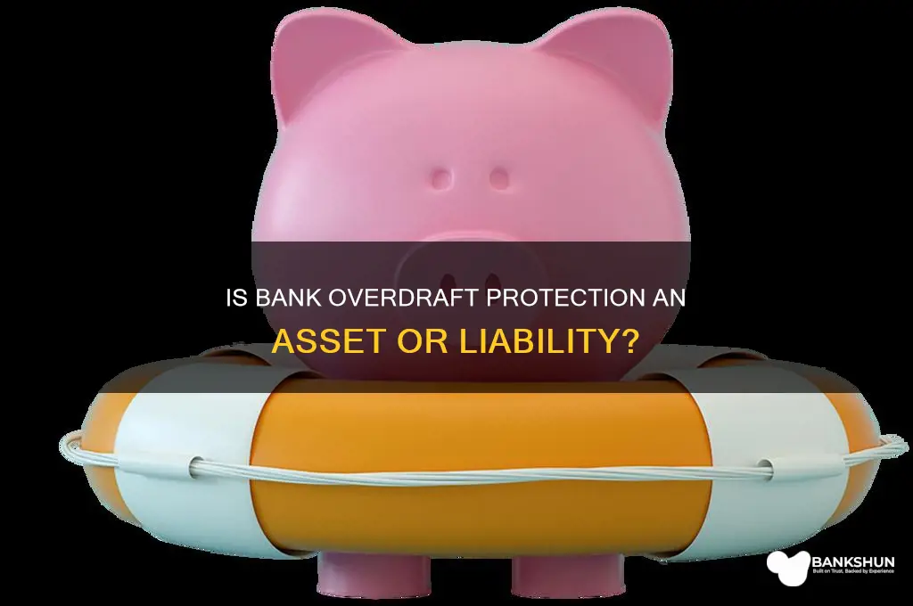 is a bank overdraft protection an asset