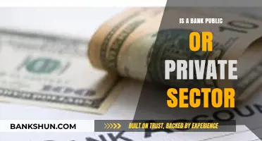 Understanding Bank Ownership: Public vs. Private Sector Explained